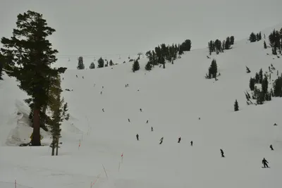 DSC_6746 (Large).JPG